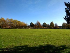 View of park from west corner