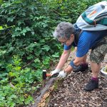 TLC round Forest School