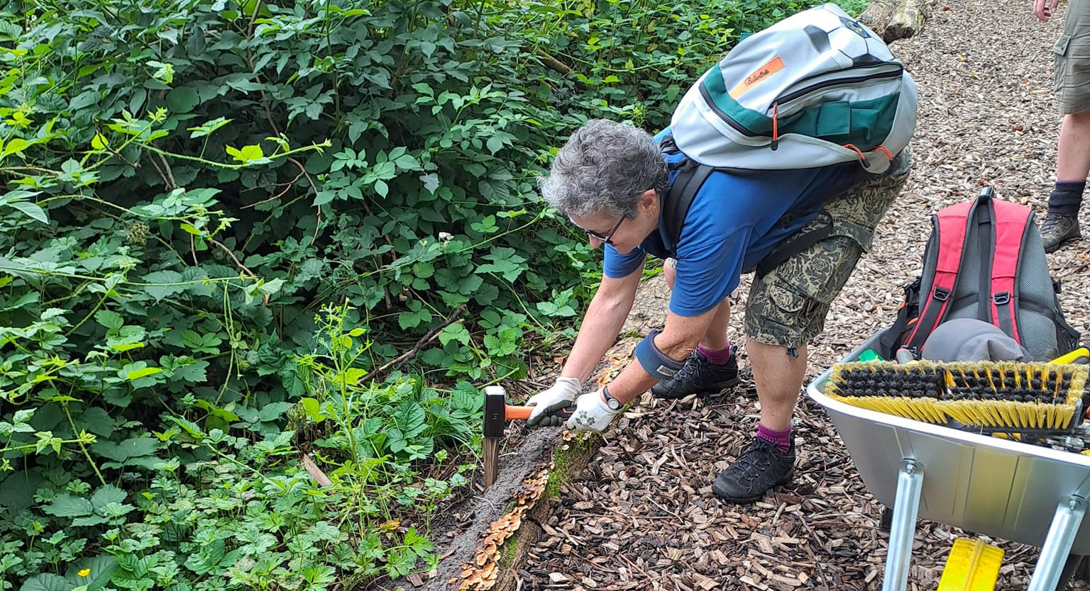 Conservation volunteers give orchard TLC