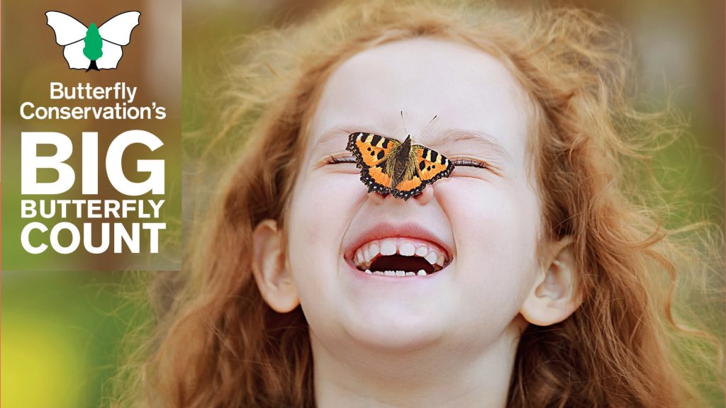 Vig Butterfly Count - butterfly on girl's nose