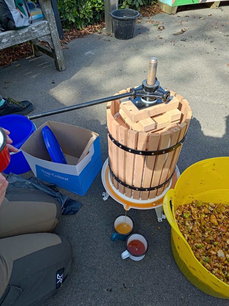 Pressing apples