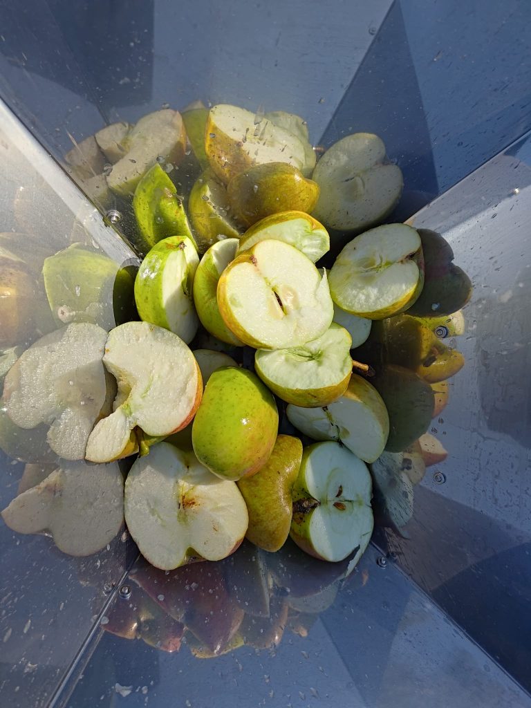 Pressing apples