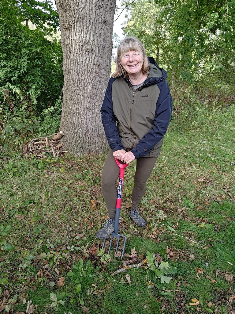 Conservation: transplanting an oak sapling